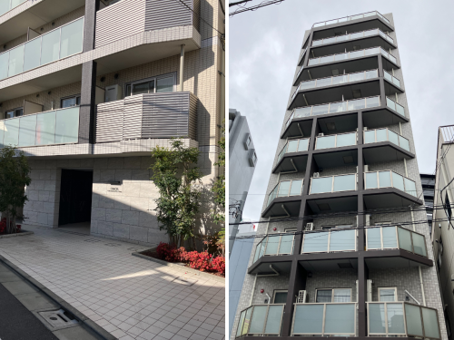 Rimple's Selection #113